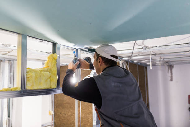 Best Insulation for Specific Applications in Cass City, MI