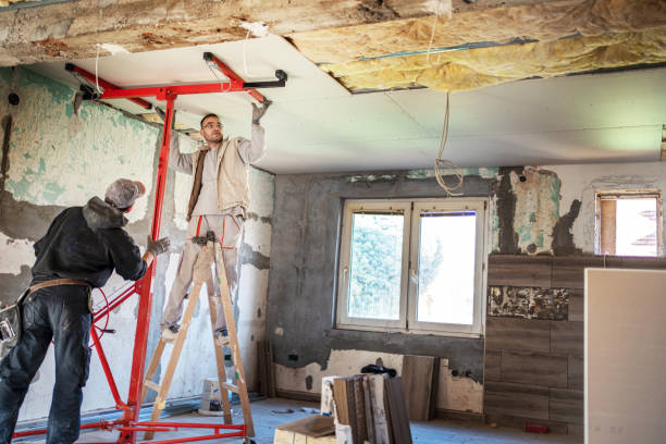 Best DIY Insulation Kits and Guidance in Cass City, MI
